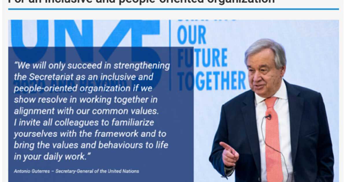 UN Values and Behaviors Framework | ARAYATIME